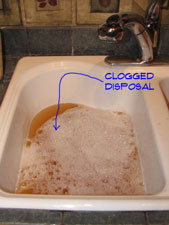 garbage-disposal-clog-pic2