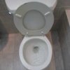 Repairing a toilet may not be as hard as it looks! Following this link will show you the pros and cons of doing it yourself.