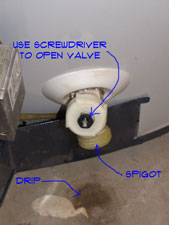 leaking-hot-water-heater-pic2