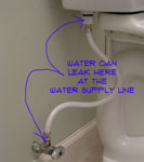 There are 4 mainplaces that the watqer supply line to your toilet may be leaking. Is this something that you can fix? It isnt hard and may save you a big service call bill.